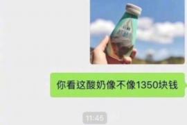 延庆专业讨债公司，追讨消失的老赖