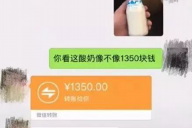 延庆为什么选择专业追讨公司来处理您的债务纠纷？